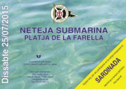 El CN Llançà organiza la limpieza submarina de una playa del municipio